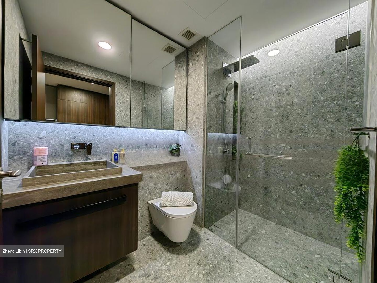 One Pearl Bank (D3), Apartment #450378211